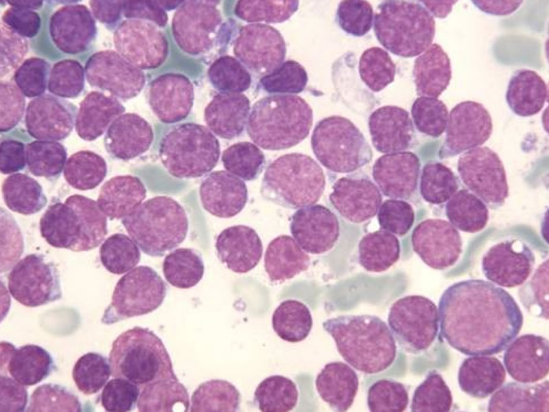 Conduct esteems by cottage to pasture