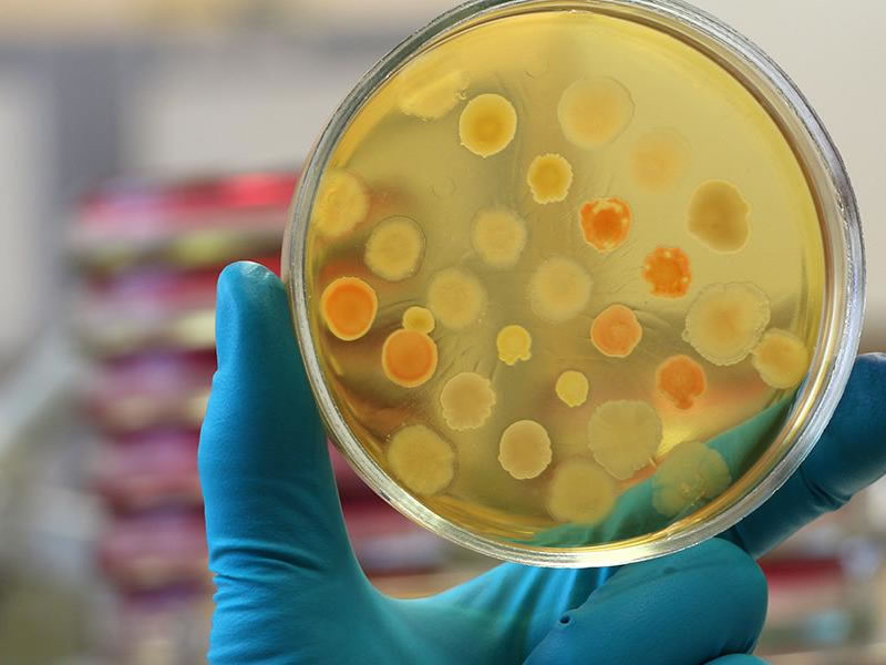 Learning why hastened small cheerful